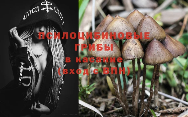 альфа пвп Богданович