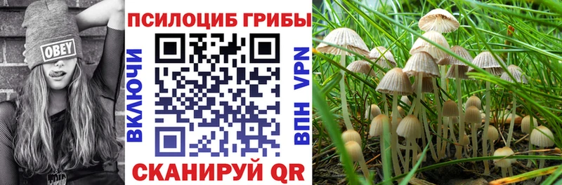 Галлюциногенные грибы ЛСД  это какой сайт  Чишмы 